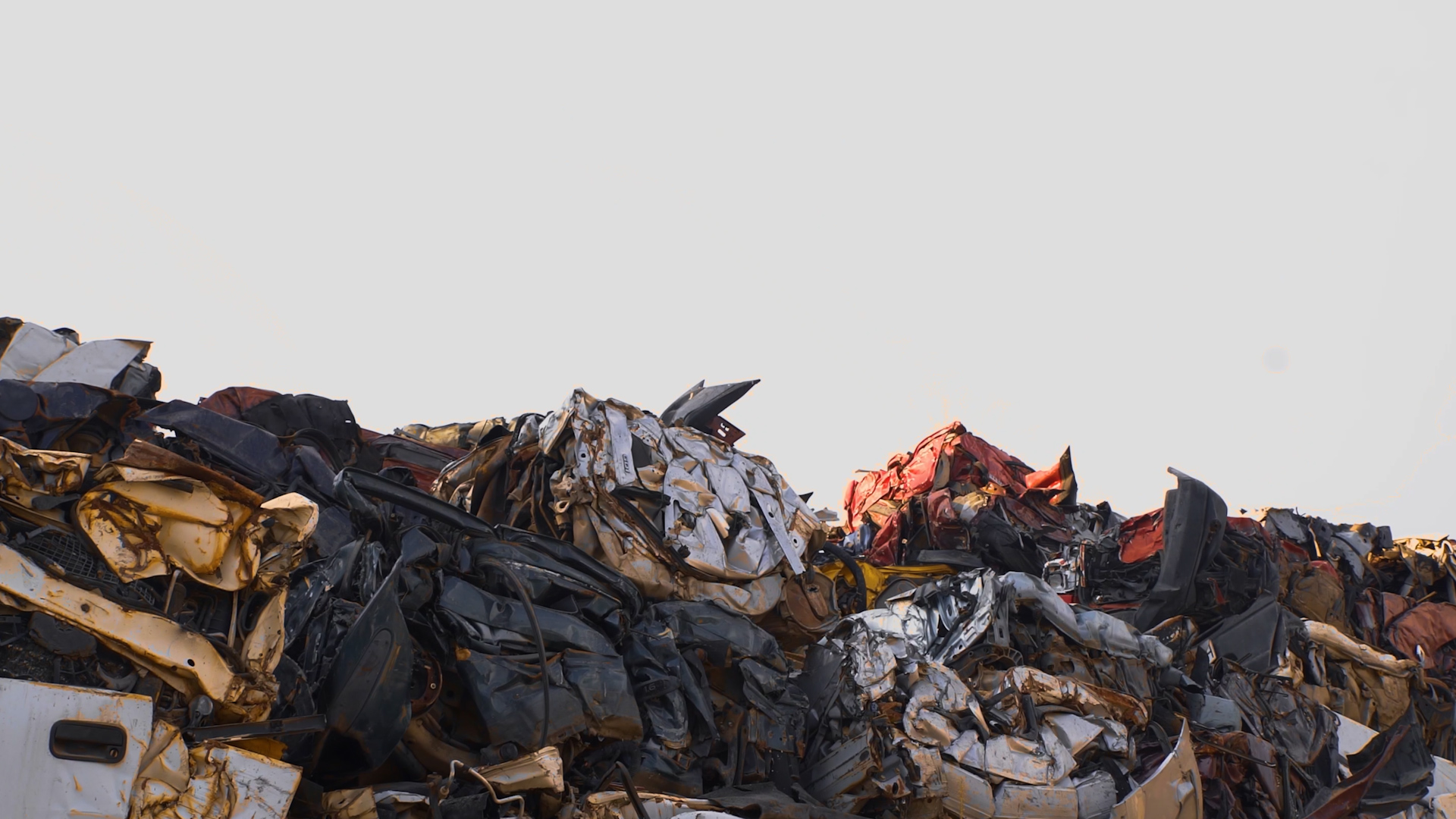 marine-image